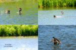tn_gallery_143_61_1872530.jpg