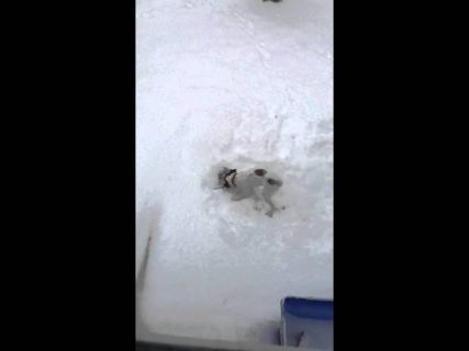 Когда гараж засыпало.. в Магадане « автомагадан