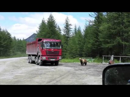 Колымская трасса в Магадане « автомагадан